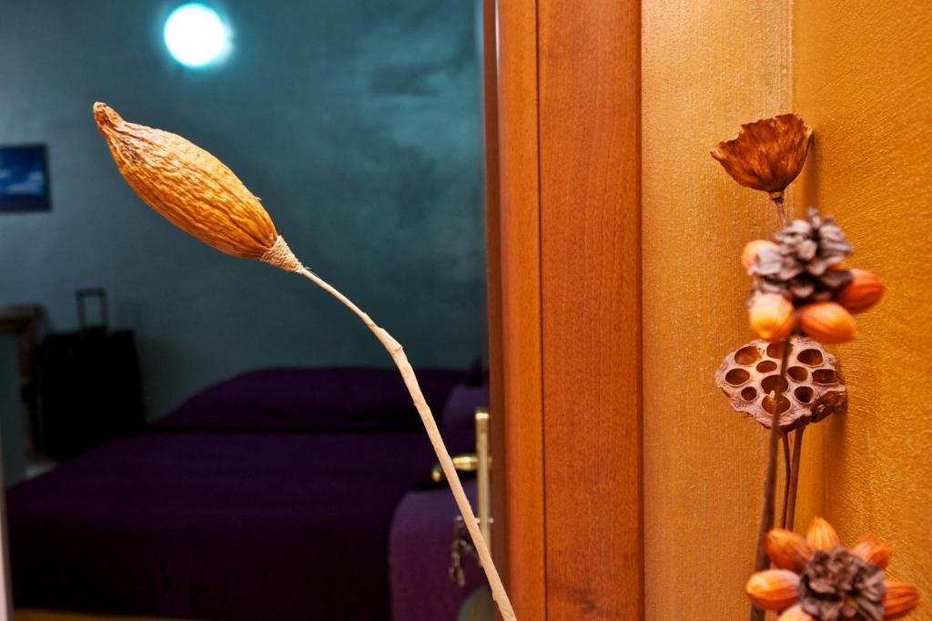 Guesthouse Il Gong Рим Экстерьер фото